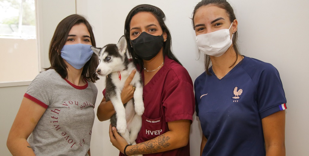 Anna Tereza, a veterinária Lucélia Menezes e Sara Pelicer no Hospital Veterinário Público (Hvep), que amplia atendimento em março/Tony Oliveira/Agência Brasília
