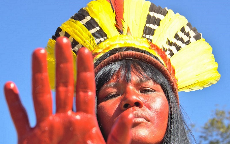 Acampamento virtual reúne por 25 dias indígenas de todo o Brasil
