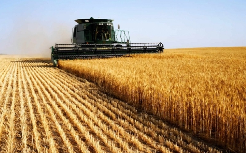 Agricultura colheitadeira trigo Misto Brasília