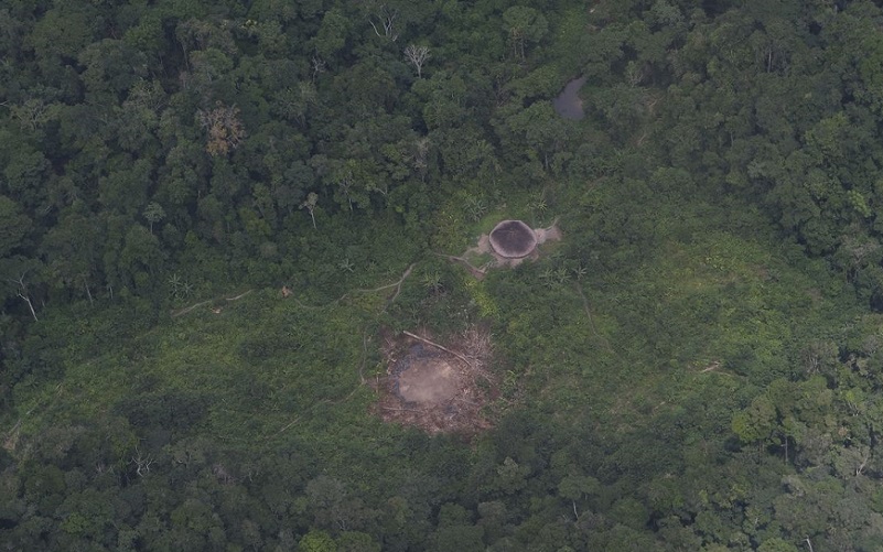 Yanomami área de mata Misto Brasília