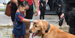 Cachorro criança ação social Varjão DF Misto Brasil