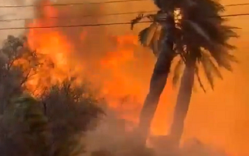 Estudo apresenta as primeiras respostas para os incêndios no Chile