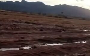 Rio GRande do Sul lavoura destruída Agudo Misto Brasil